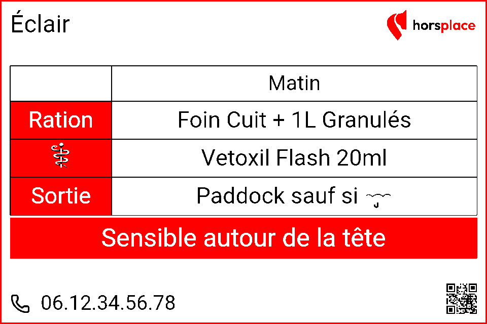 Écran e-ink d'un box (données fictives) : cheval Éclair, ration, soin et sortie